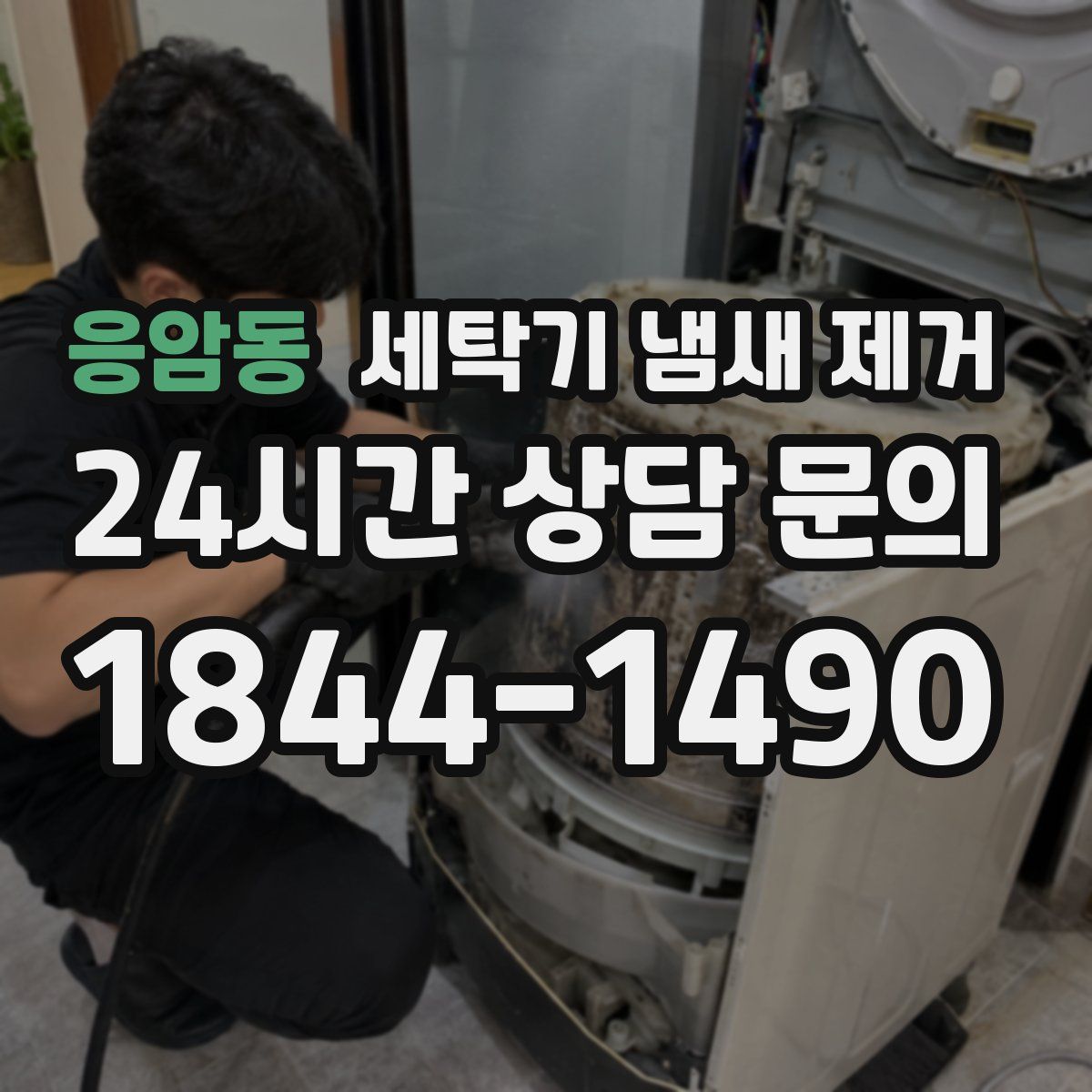 응암동 세탁기 냄새 제거