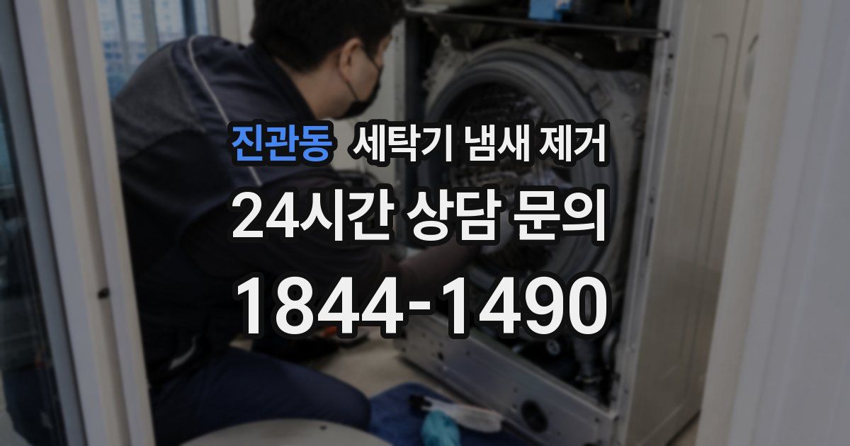 진관동 세탁기 냄새 제거