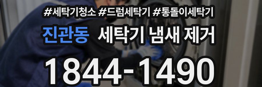진관동 세탁기 냄새 제거