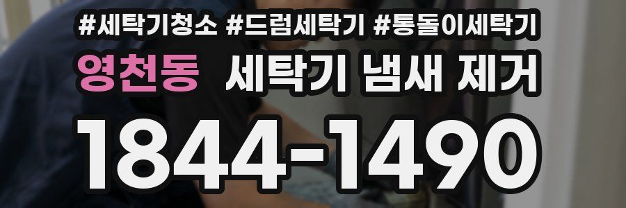 영천동 세탁기 냄새 제거