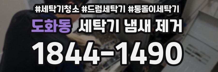 도화동 세탁기 냄새 제거
