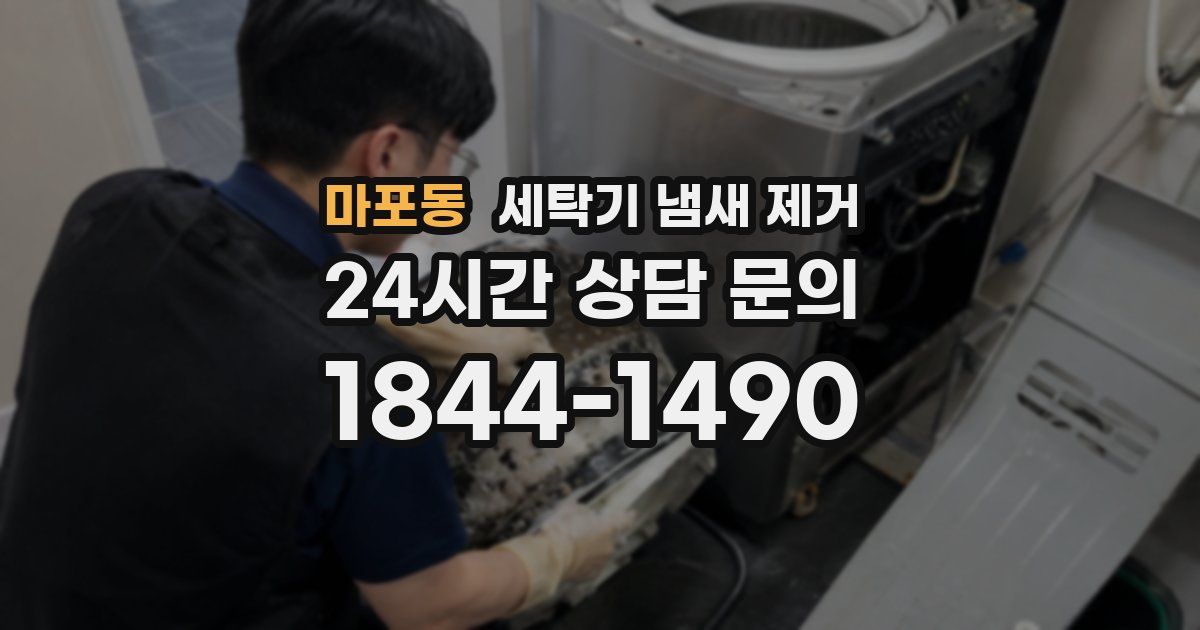 마포동 세탁기 냄새 제거