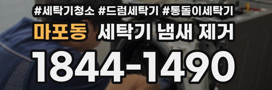 마포동 세탁기 냄새 제거