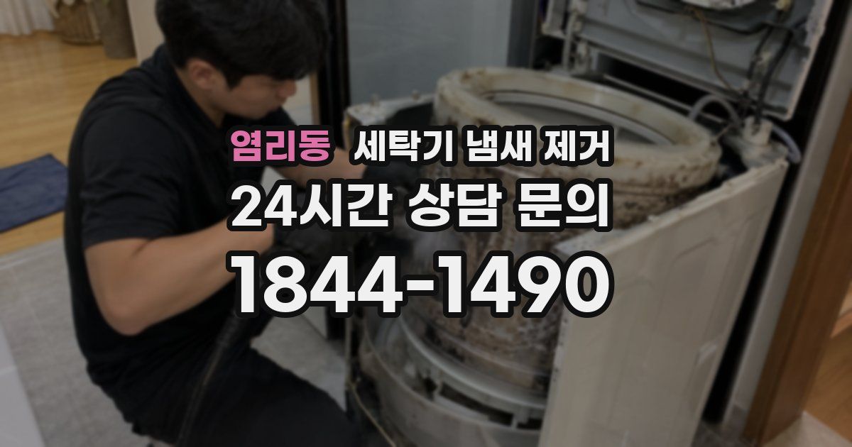 염리동 세탁기 냄새 제거