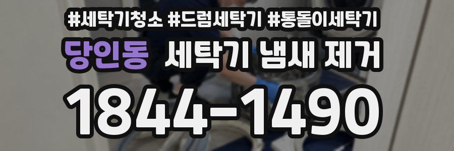 당인동 세탁기 냄새 제거