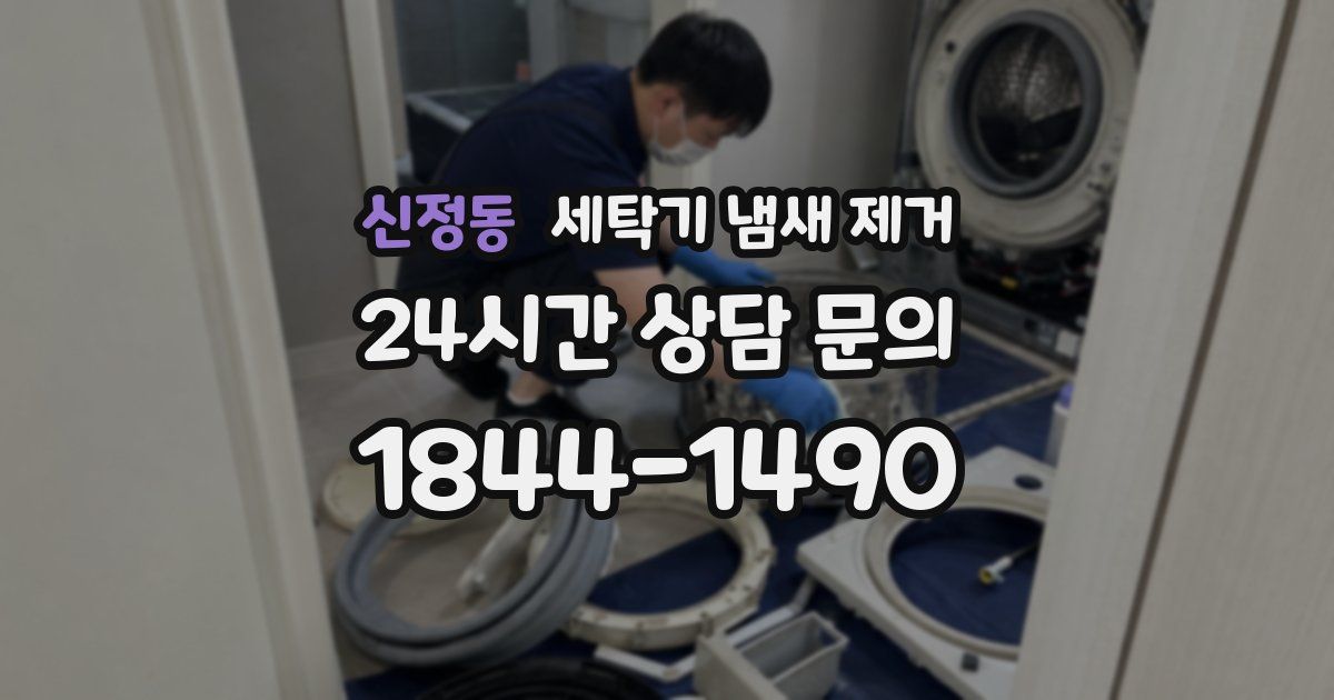 신정동 세탁기 냄새 제거