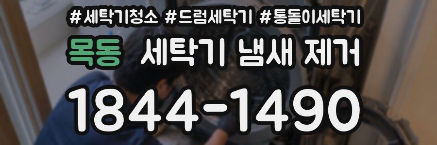 목동 세탁기 냄새 제거