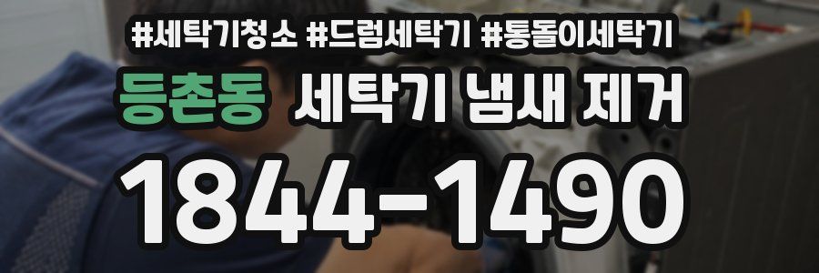 등촌동 세탁기 냄새 제거