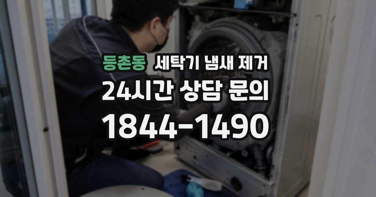 등촌동 세탁기 냄새 제거