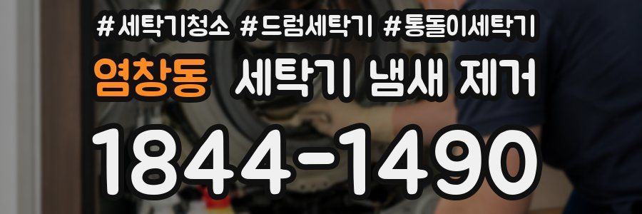 염창동 세탁기 냄새 제거