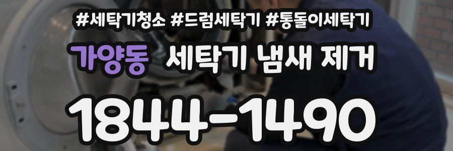 가양동 세탁기 냄새 제거