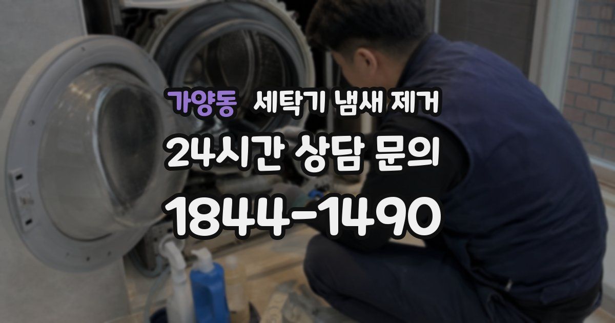 가양동 세탁기 냄새 제거