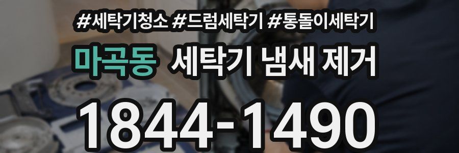 마곡동 세탁기 냄새 제거