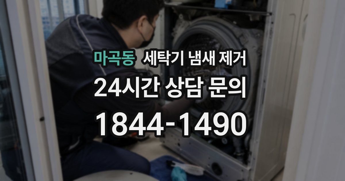 마곡동 세탁기 냄새 제거