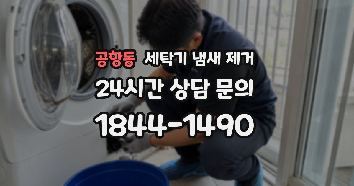 공항동 세탁기 냄새 제거