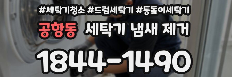 공항동 세탁기 냄새 제거