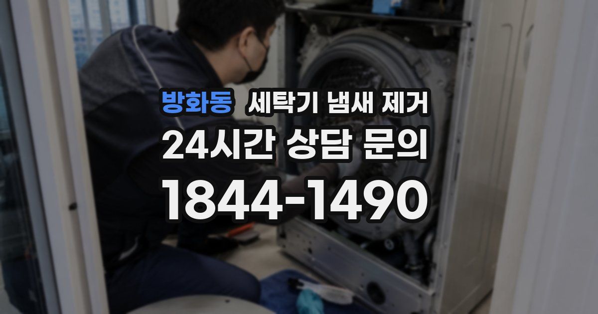 방화동 세탁기 냄새 제거