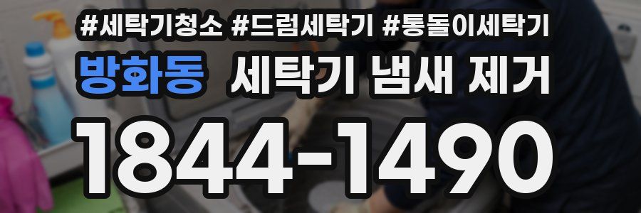 방화동 세탁기 냄새 제거