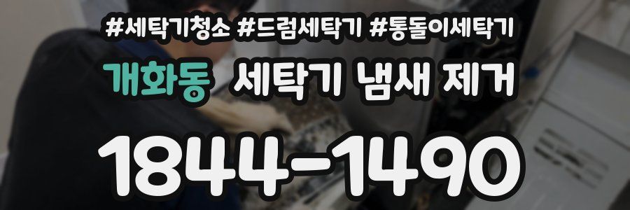 개화동 세탁기 냄새 제거