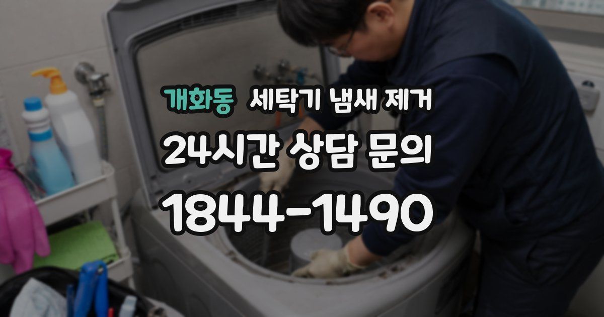 개화동 세탁기 냄새 제거