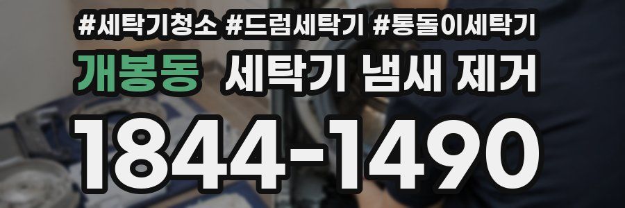 개봉동 세탁기 냄새 제거