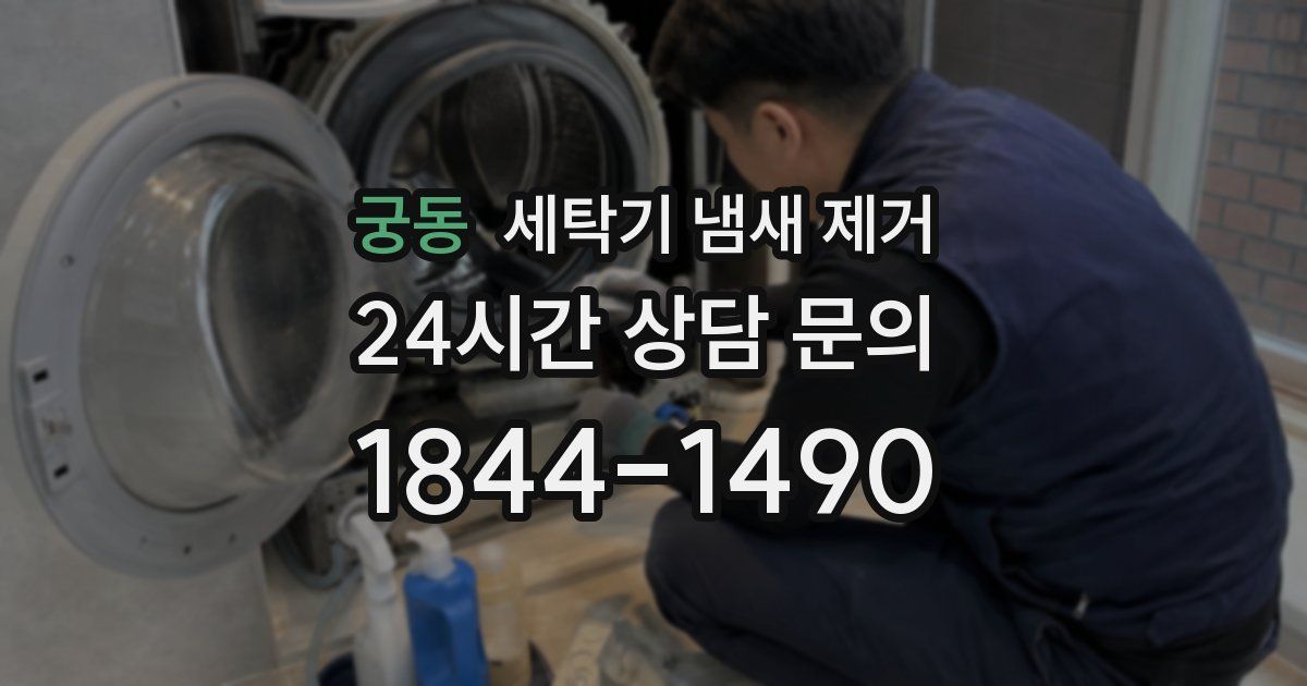 궁동 세탁기 냄새 제거