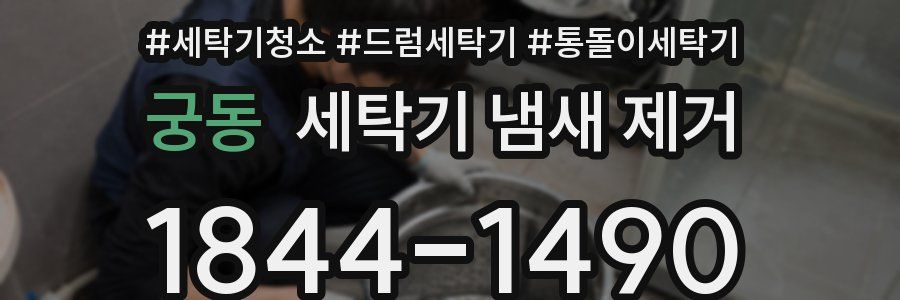 궁동 세탁기 냄새 제거