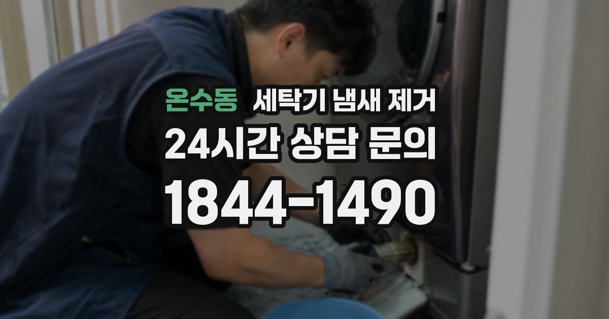 온수동 세탁기 냄새 제거