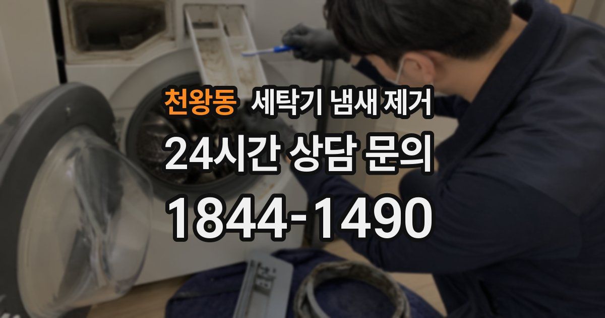 천왕동 세탁기 냄새 제거