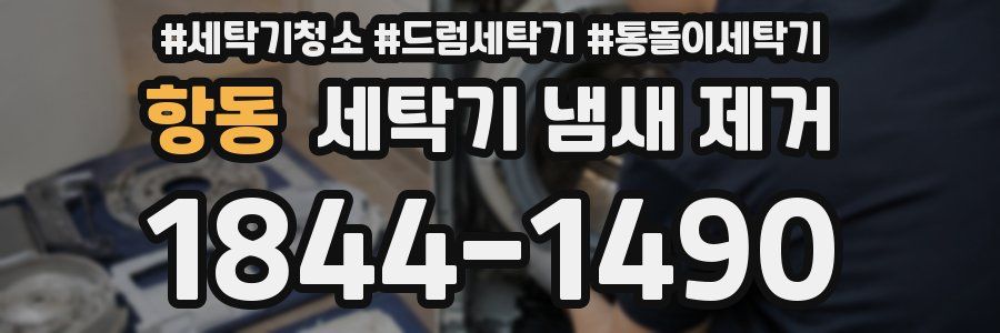 항동 세탁기 냄새 제거