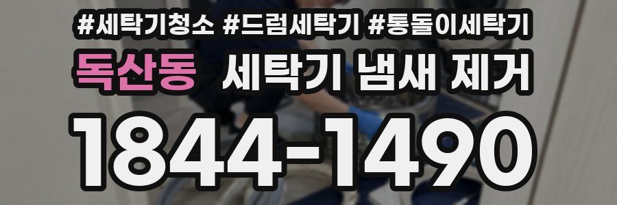 독산동 세탁기 냄새 제거