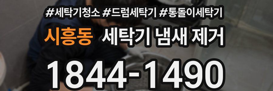 시흥동 세탁기 냄새 제거