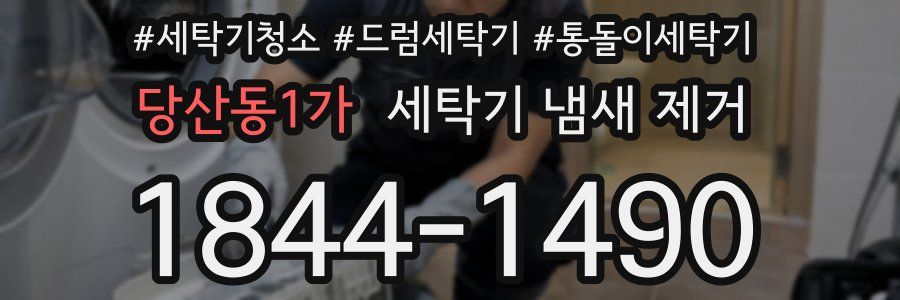 당산동1가 세탁기 냄새 제거