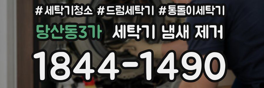 당산동3가 세탁기 냄새 제거