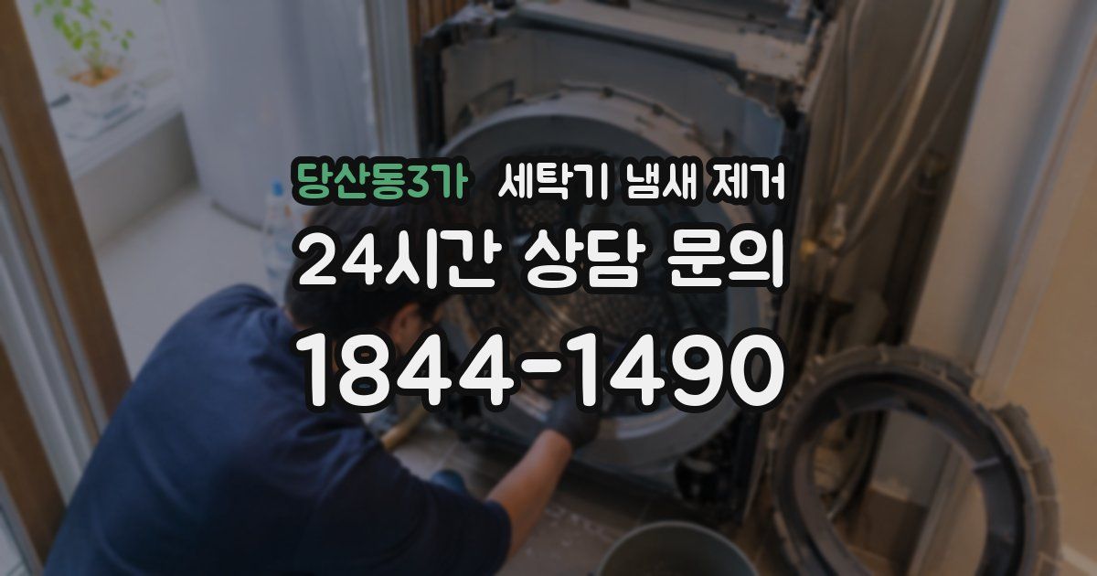 당산동3가 세탁기 냄새 제거