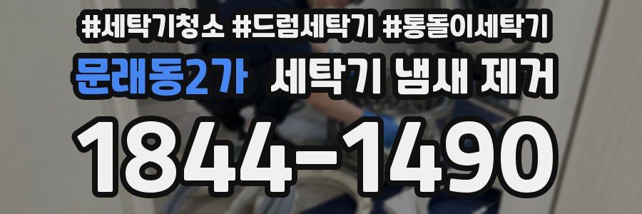 문래동2가 세탁기 냄새 제거