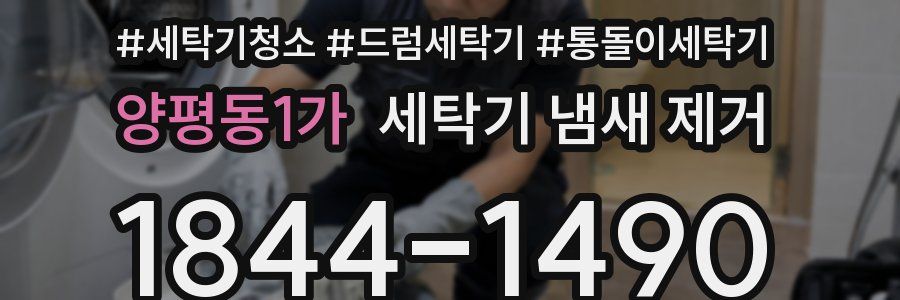양평동1가 세탁기 냄새 제거