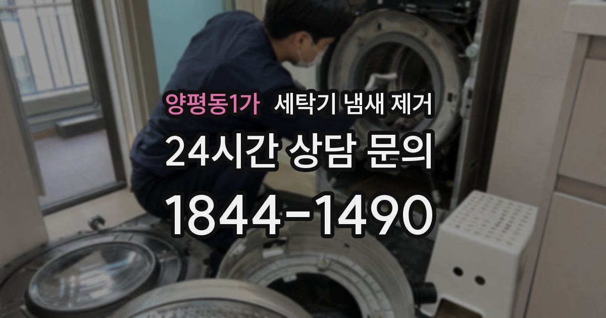 양평동1가 세탁기 냄새 제거