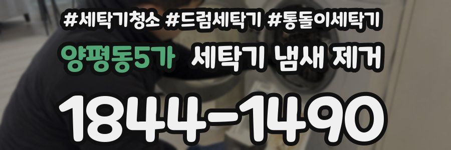 양평동5가 세탁기 냄새 제거