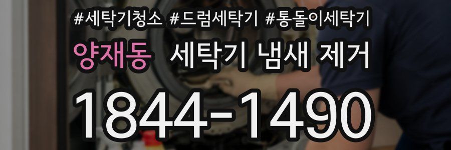 양재동 세탁기 냄새 제거