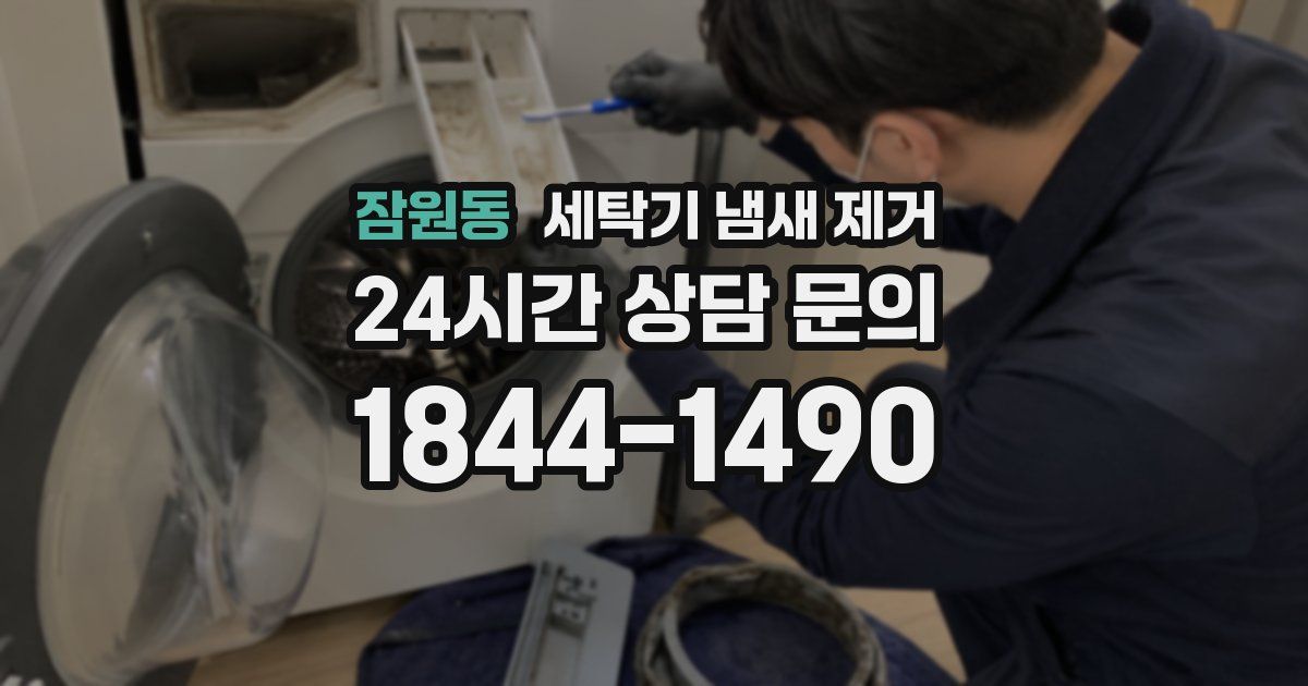잠원동 세탁기 냄새 제거