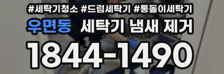우면동 세탁기 냄새 제거