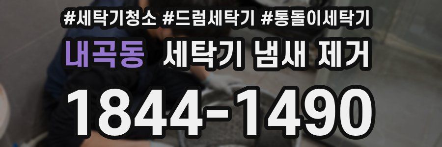 내곡동 세탁기 냄새 제거