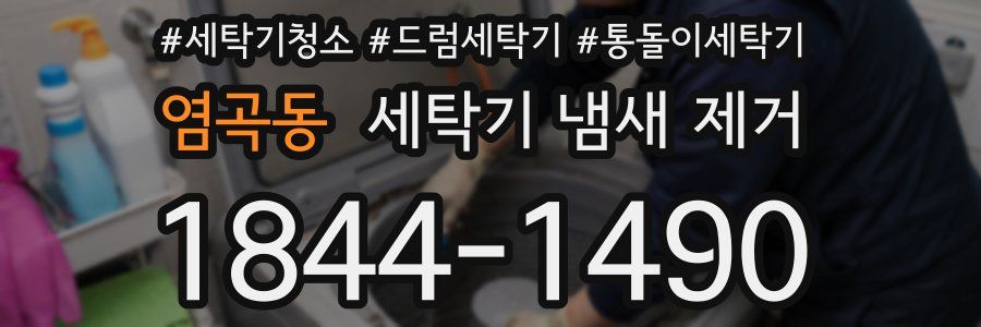 염곡동 세탁기 냄새 제거