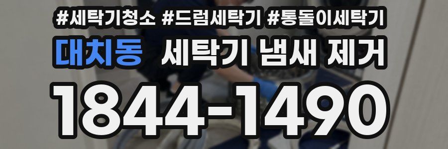 대치동 세탁기 냄새 제거