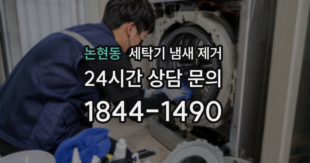논현동 세탁기 냄새 제거