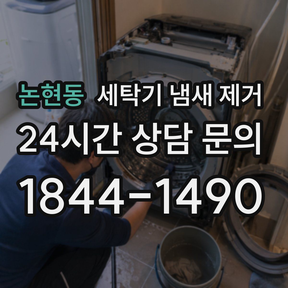 논현동 세탁기 냄새 제거