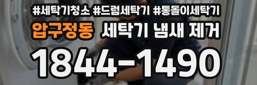 압구정동 세탁기 냄새 제거