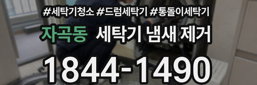 자곡동 세탁기 냄새 제거