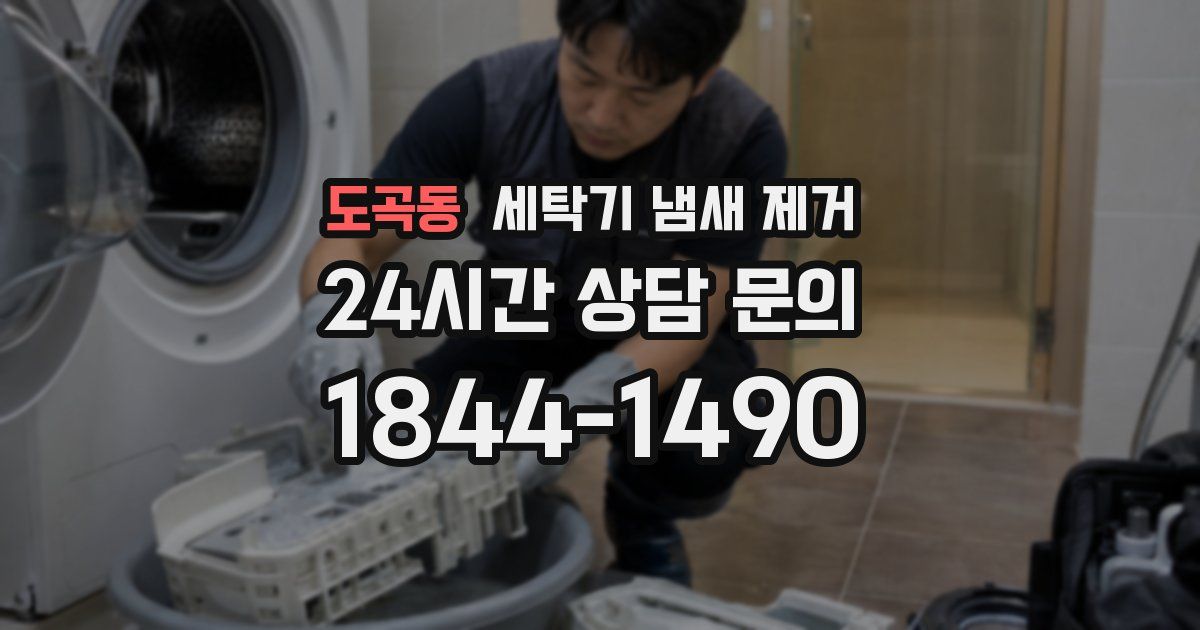 도곡동 세탁기 냄새 제거